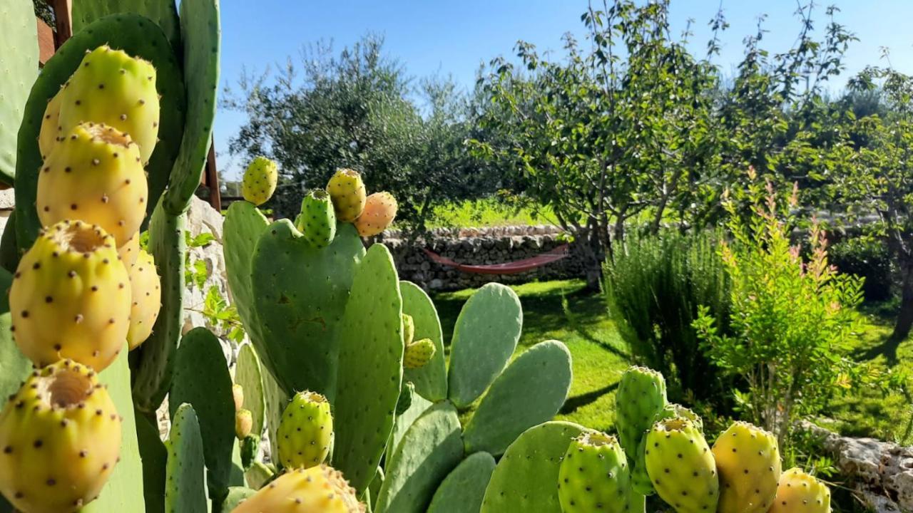 Red Rose B&B Martina Franca Exterior photo